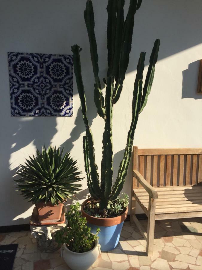 B&B La Villa Mediterranea Passirano Экстерьер фото